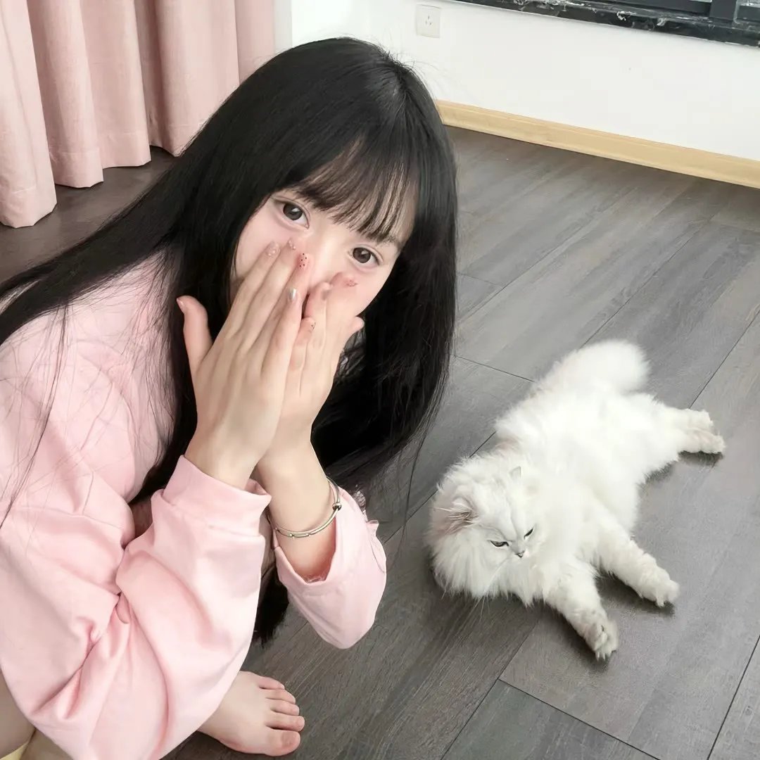万物生灵第六季 在线观看